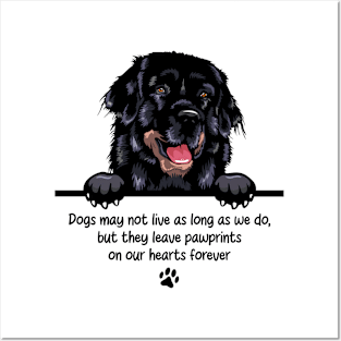 Dogs may not live as long as we do, but they leave pawprints  on our hearts forever Posters and Art